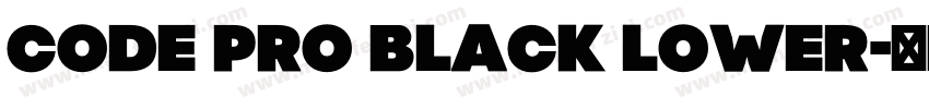 Code Pro Black Lower字体转换